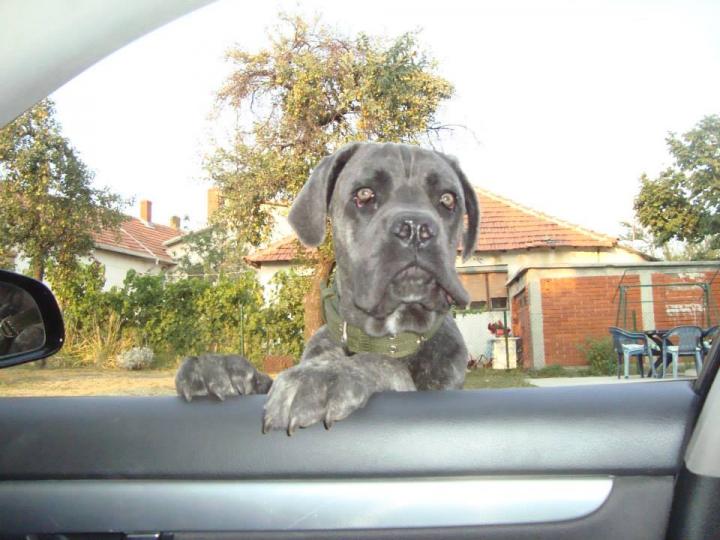 I tako on mene pita.. &amp;amp;quot;Aw.. gde si posao bez mene&amp;amp;quot;.. :o)