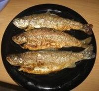 Pastrmka sa rostilja